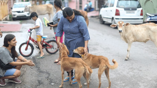 Stray Dogs Verdict LIVE UPDATES from Supreme Court